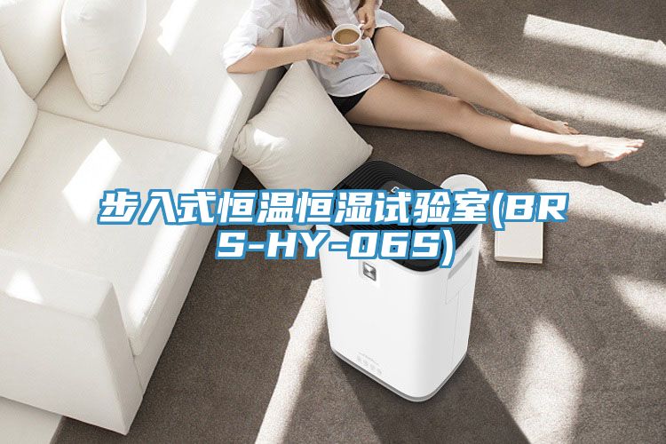 步入式恒溫恒濕試驗室(BRS-HY-06S)