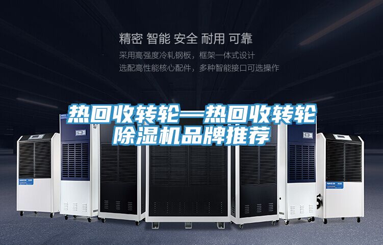熱回收轉輪—熱回收轉輪除濕機品牌推薦