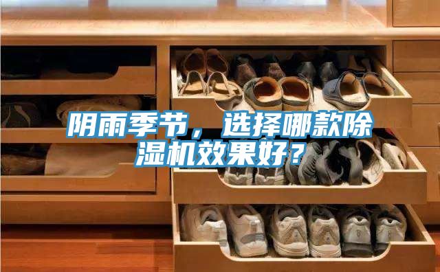 陰雨季節,選擇哪款除濕機效果好?