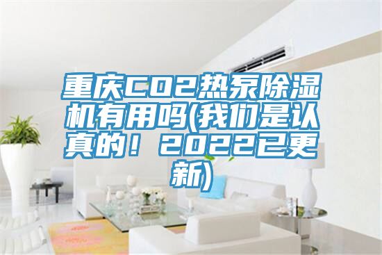 重慶CO2熱泵除濕機有用嗎(我們是認真的！2022已更新)