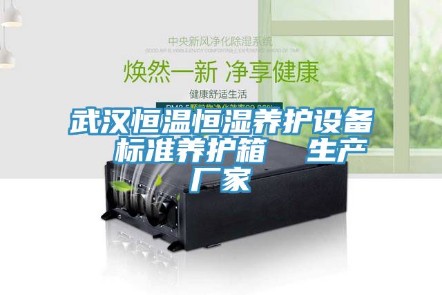 武漢恒溫恒濕養(yǎng)護設備  標準養(yǎng)護箱  生產(chǎn)廠家