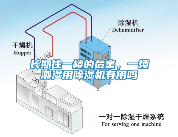 長期住一樓的危害，一樓潮濕用除濕機有用嗎