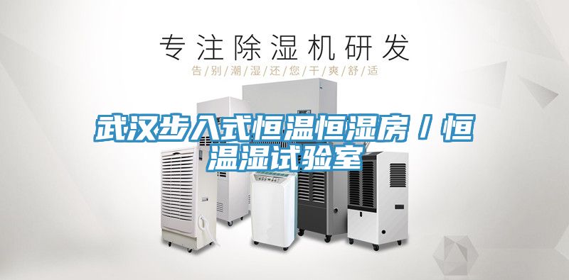 武漢步入式恒溫恒濕房／恒溫濕試驗室