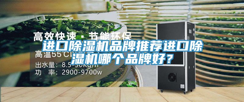 進口除濕機品牌推薦進口除濕機哪個品牌好？