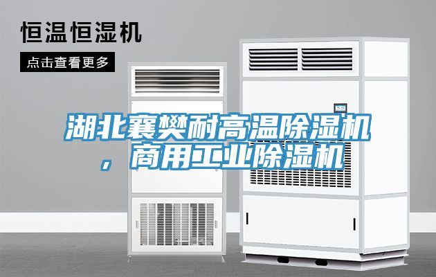 湖北襄樊耐高溫除濕機，商用工業除濕機