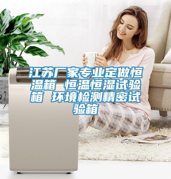 江蘇廠家專業定做恒溫箱 恒溫恒濕試驗箱 環境檢測精密試驗箱
