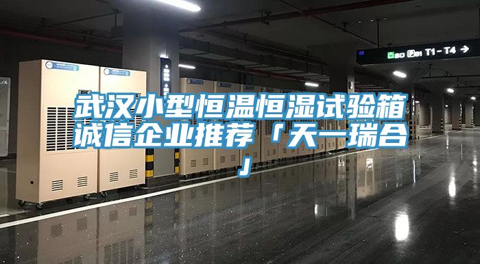 武漢小型恒溫恒濕試驗箱誠信企業(yè)推薦「天一瑞合」