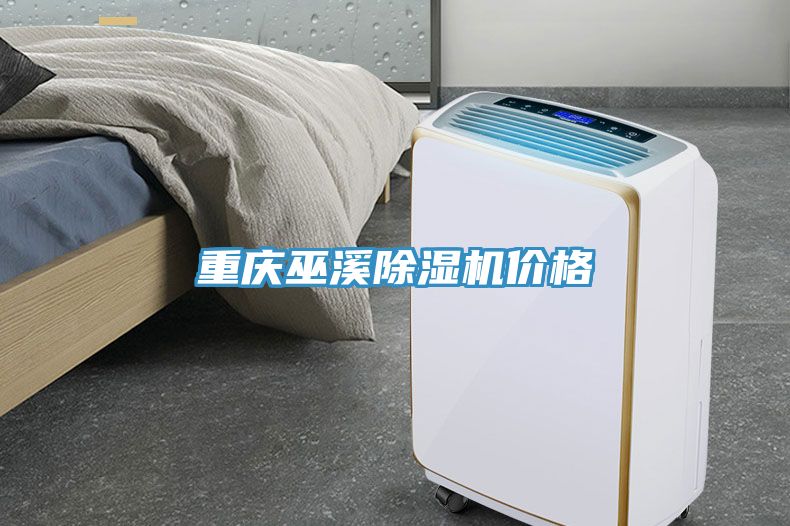 重慶巫溪除濕機價格