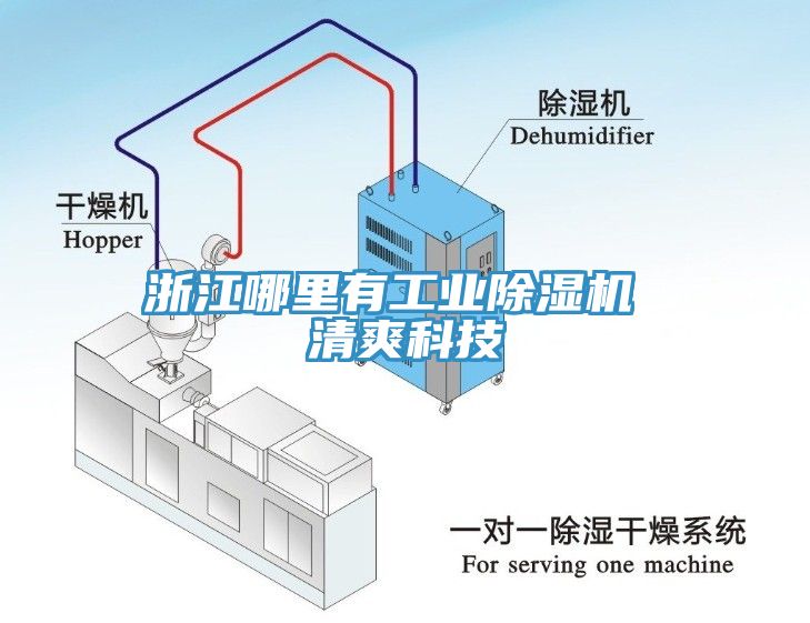 浙江哪里有工業除濕機 清爽科技