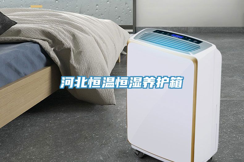 河北恒溫恒濕養護箱