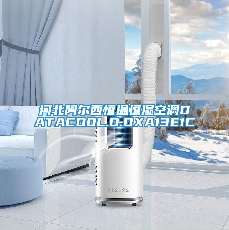 河北阿爾西恒溫恒濕空調DATACOOL.O.DXA13E1C