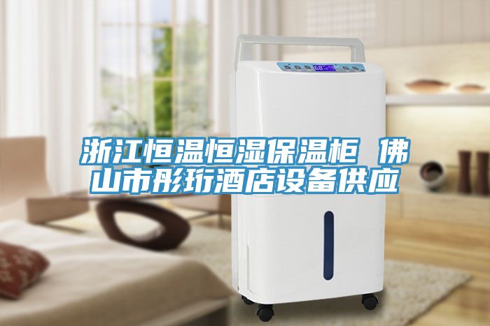 浙江恒溫恒濕保溫柜 佛山市彤珩酒店設備供應