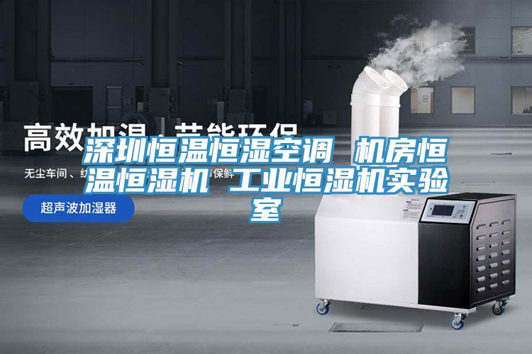 深圳恒溫恒濕空調 機房恒溫恒濕機 工業恒濕機實驗室