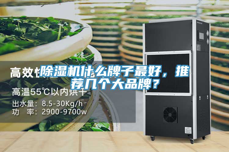 除濕機(jī)什么牌子最好，推薦幾個(gè)大品牌？