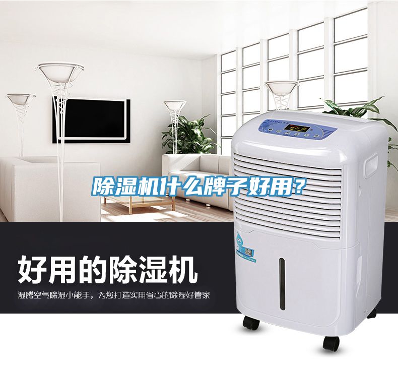 除濕機什么牌子好用？
