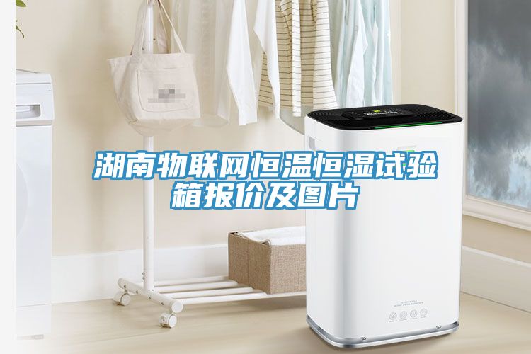 湖南物聯網恒溫恒濕試驗箱報價及圖片