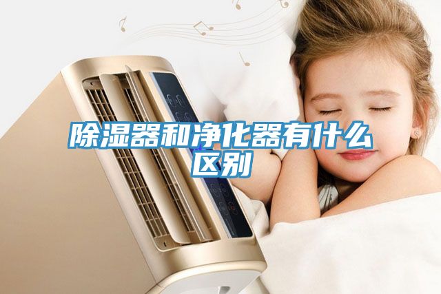 除濕器和凈化器有什么區別