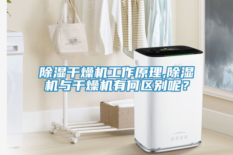 除濕干燥機工作原理,除濕機與干燥機有何區(qū)別呢？