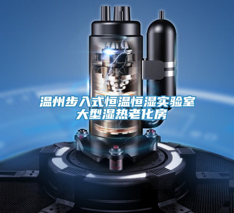 溫州步入式恒溫恒濕實驗室 大型濕熱老化房