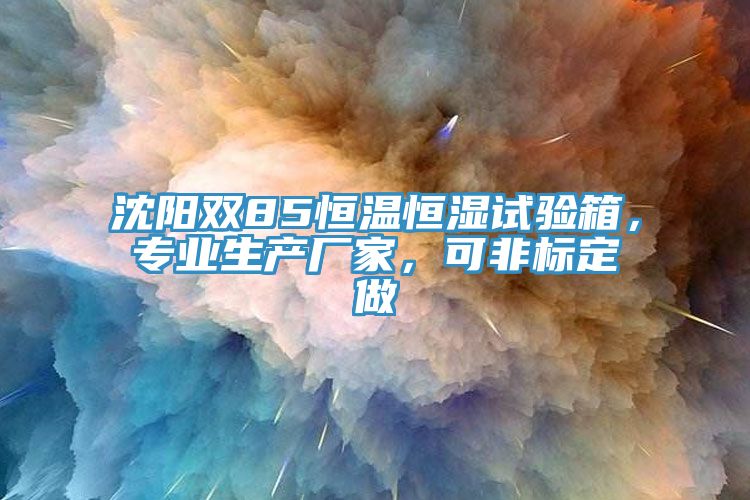 沈陽雙85恒溫恒濕試驗箱，專業生產廠家，可非標定做