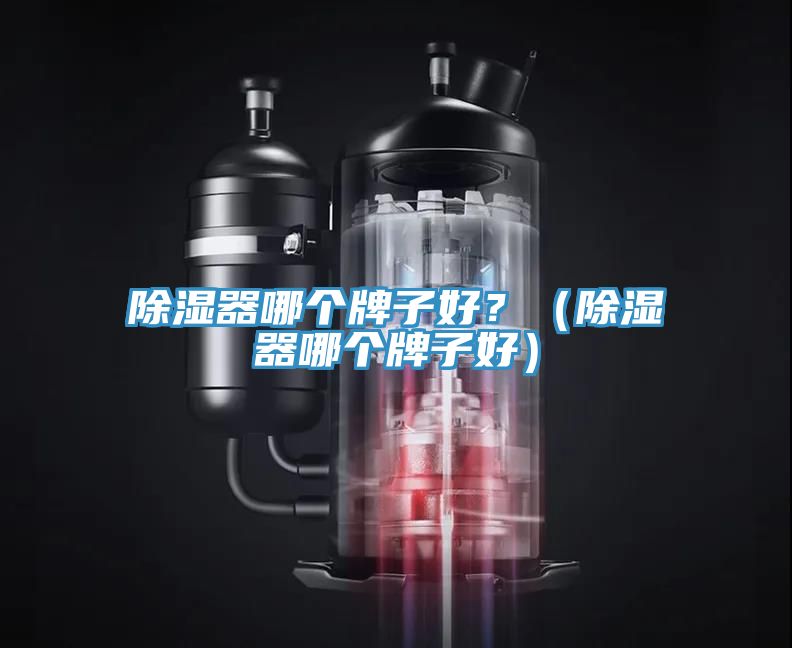 除濕器哪個牌子好？（除濕器哪個牌子好）