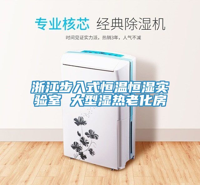 浙江步入式恒溫恒濕實(shí)驗(yàn)室 大型濕熱老化房