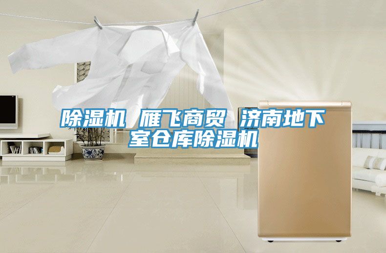 除濕機 雁飛商貿 濟南地下室倉庫除濕機