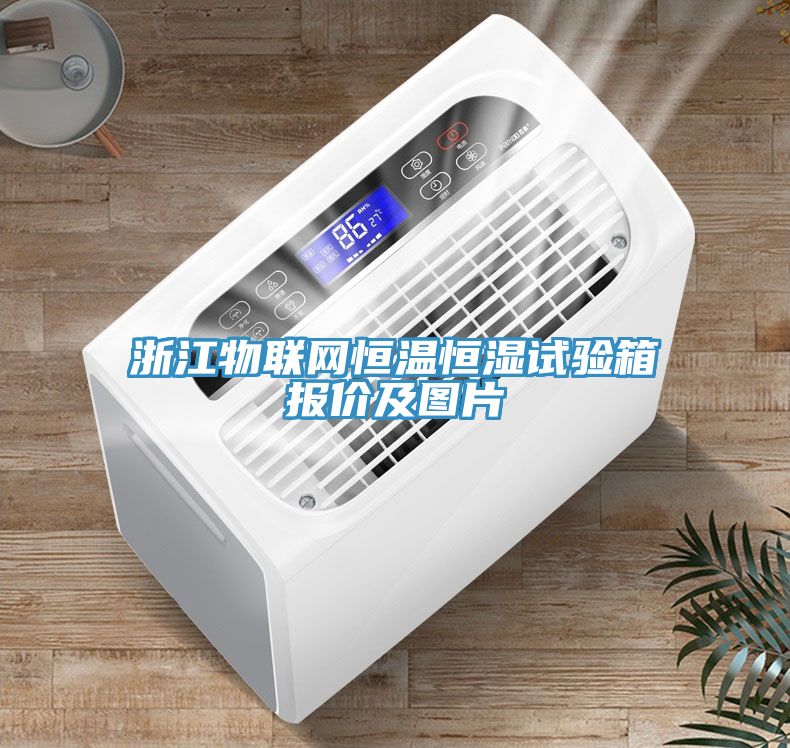 浙江物聯(lián)網(wǎng)恒溫恒濕試驗(yàn)箱報(bào)價(jià)及圖片