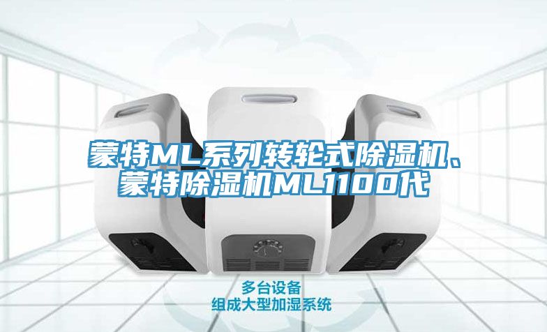 蒙特ML系列轉輪式除濕機、蒙特除濕機ML1100代