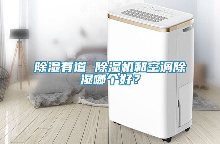 除濕有道 除濕機和空調除濕哪個好？
