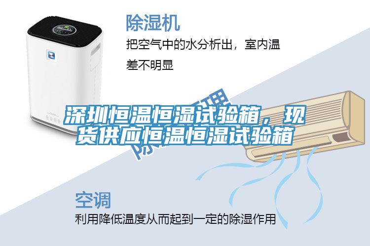 深圳恒溫恒濕試驗箱，現貨供應恒溫恒濕試驗箱