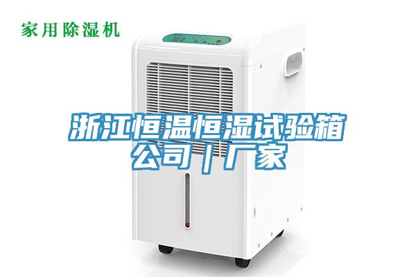 浙江恒溫恒濕試驗(yàn)箱公司｜廠家