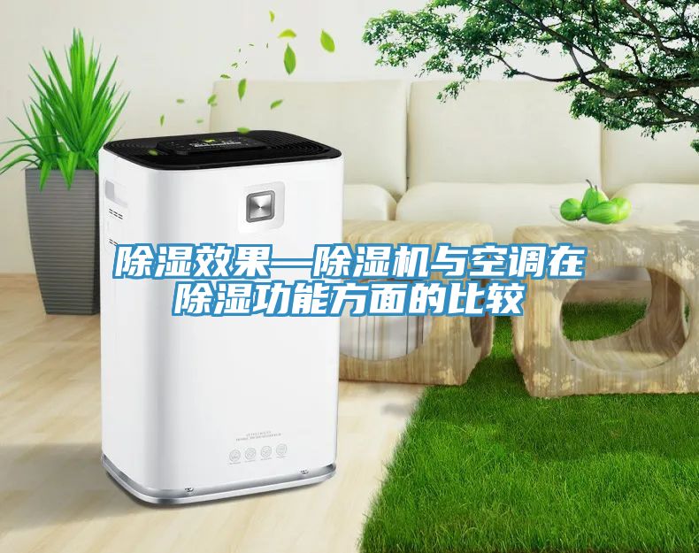 除濕效果—除濕機與空調在除濕功能方面的比較