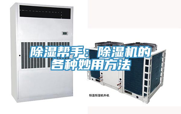 除濕幫手：除濕機的各種妙用方法