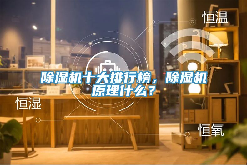 除濕機十大排行榜，除濕機原理什么？