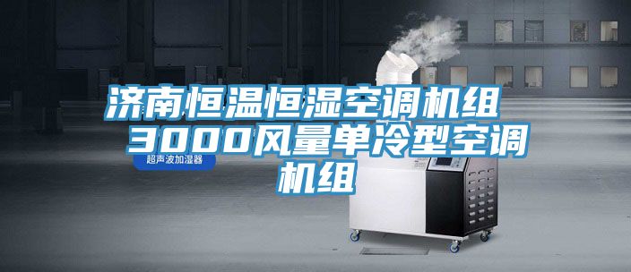 濟南恒溫恒濕空調機組  3000風量單冷型空調機組