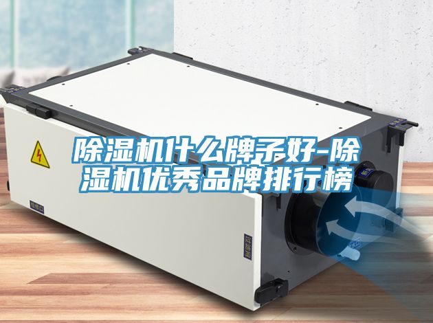 除濕機什么牌子好-除濕機優秀品牌排行榜