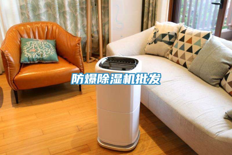 防爆除濕機批發