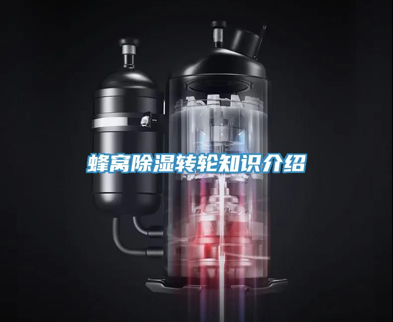 蜂窩除濕轉輪知識介紹