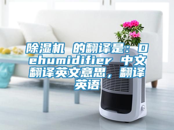 除濕機 的翻譯是：Dehumidifier 中文翻譯英文意思，翻譯英語