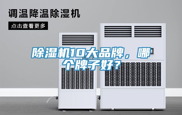 除濕機10大品牌，哪個牌子好？