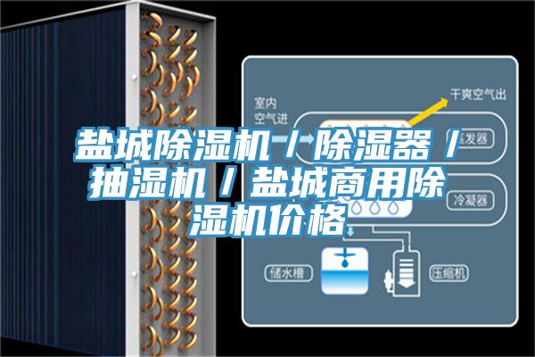 鹽城除濕機/除濕器/抽濕機/鹽城商用除濕機價格