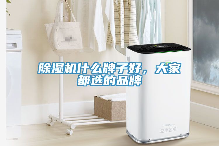 除濕機(jī)什么牌子好，大家都選的品牌