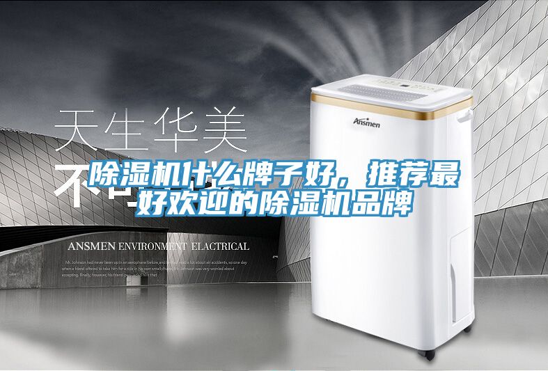 除濕機(jī)什么牌子好，推薦最好歡迎的除濕機(jī)品牌