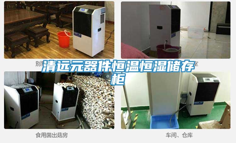 清遠元器件恒溫恒濕儲存柜
