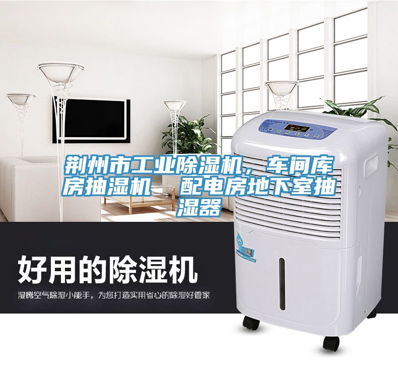 荊州市工業除濕機，車間庫房抽濕機  配電房地下室抽濕器