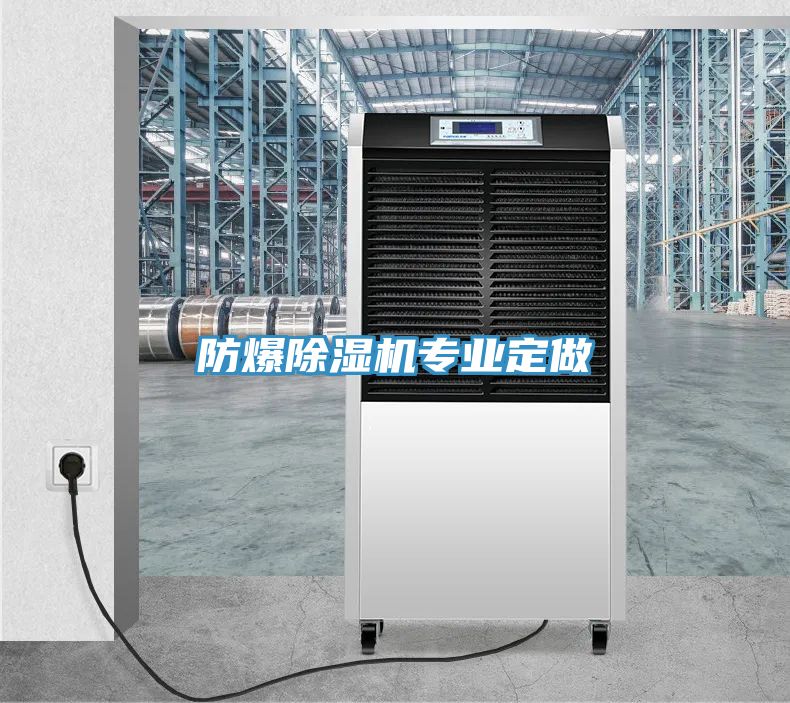 防爆除濕機(jī)專(zhuān)業(yè)定做