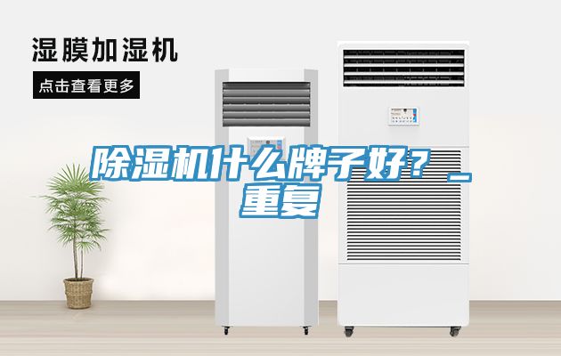 除濕機什么牌子好？_重復