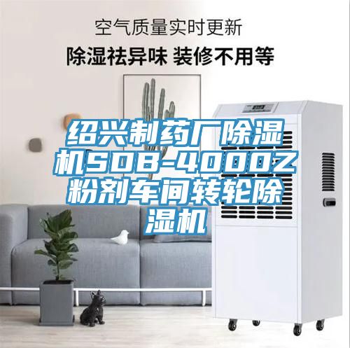 紹興制藥廠除濕機(jī)SDB-4000Z粉劑車間轉(zhuǎn)輪除濕機(jī)