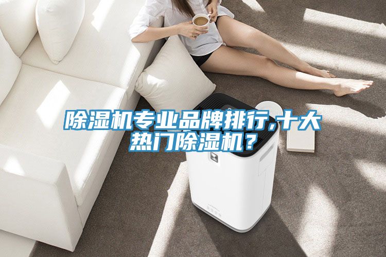 除濕機(jī)專業(yè)品牌排行,十大熱門除濕機(jī)？